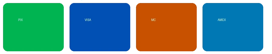 禁漫天堂支持的支付方式图标 - 包括PIX、VISA、万事达卡等